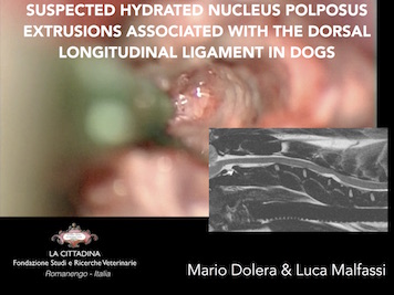 Scopri di più sull'articolo Hydrated Nucleus Polposus